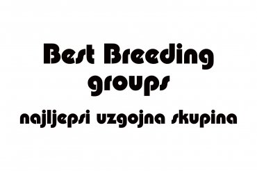 best breeders groups (unedited photos)