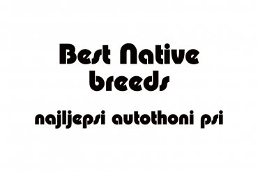 best native breeds (unedited photos)