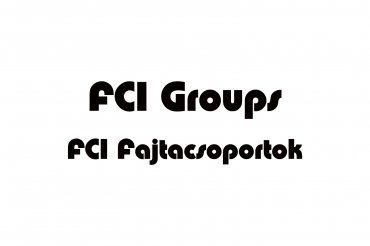 fci groups (unedited photos)