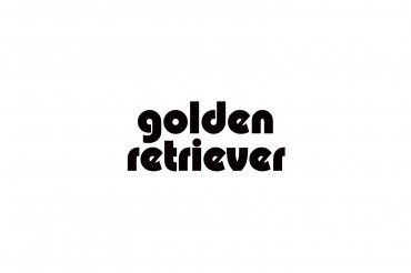 golden retriever (unedited photos)