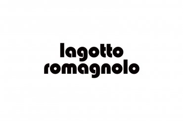 lagotto romagnolo (unedited photos)