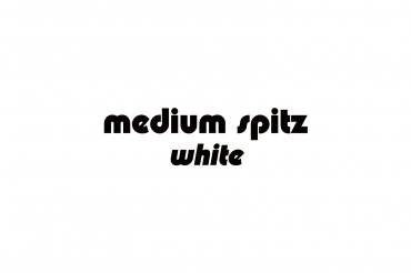 medium spitz - white (unedited photos)