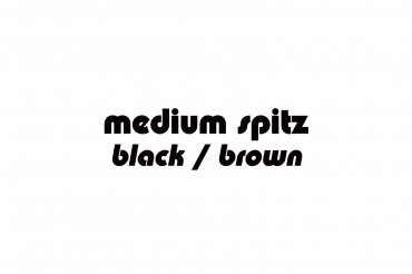 medium spitz - black/brown (unedited photos)