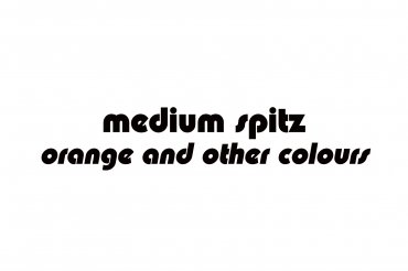 medium spitz - orange and other colours (unedited photos)