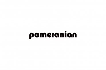 pomeranian (unedited photos)