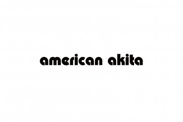 american akita (unedited photos)