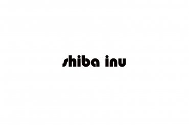 shiba inu (unedited photos)