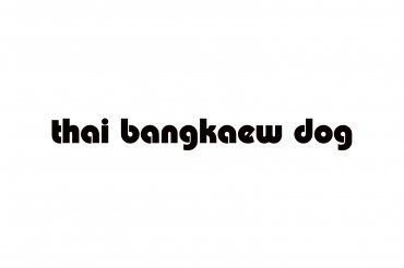 thai bangkaew dog (unedited photos)