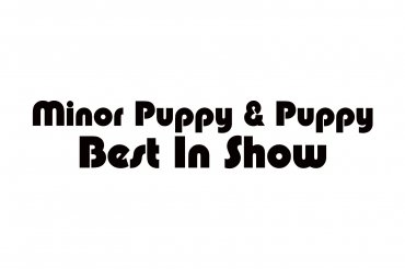 minor puppy & puppy best in show (unedited photos)