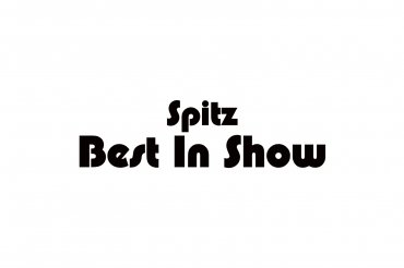 best spitz in show (unedited photos)