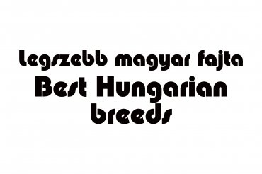 legszebb magyar fajta