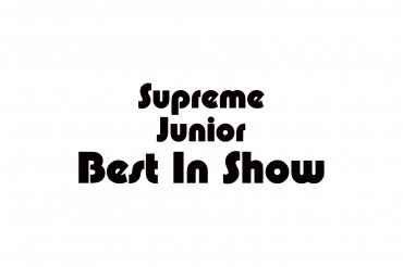 supreme junior best in show (unedited photos)