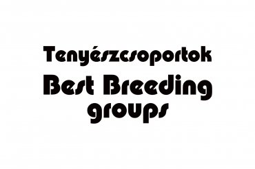 best breeders groups (unedited photos)