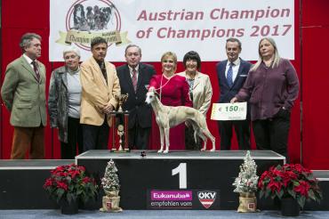 Austrian Champion of Champions 2017 females