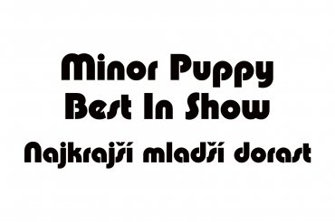 Minor Puppy BIS (unedited)
