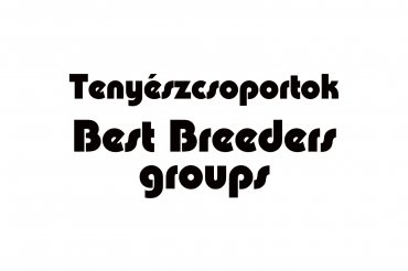 Best breeders groups (unedited)
