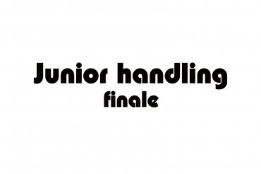 Junior Handling Final ( unedited)