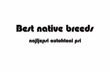 best native breeds (unedited photos)