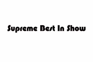 supreme best in show (unedited photos)