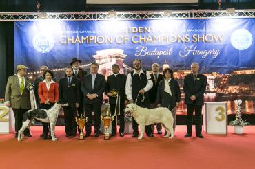 1.day Special CAC for Hungarian Breeds