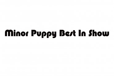 minor puppy best in show (unedited photos)