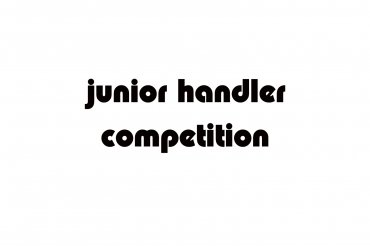 junior handler (unedited photos)