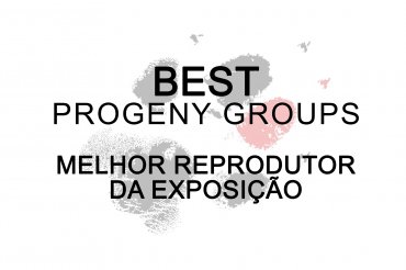 Best Progeny groups (unedited)