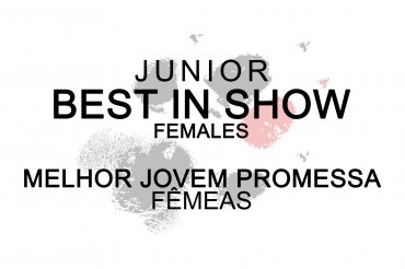Junior Best In Show females (unedited)