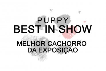 Puppy Best In Show (unedited)