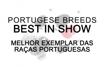 Best Portugese breeds (unedited)