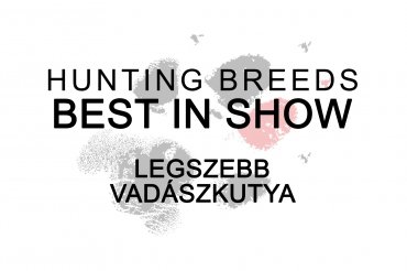 Best Hunting breeds (unedited)