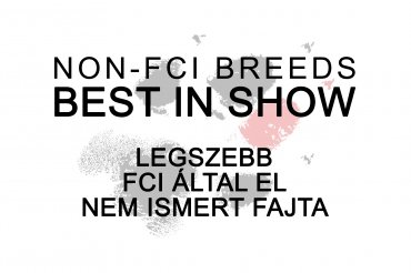Non-FCI Breeds Best In Show (unedited)