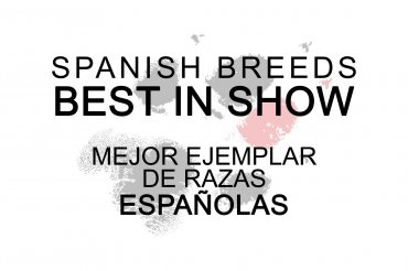 Best Spanish breeds (unedited)