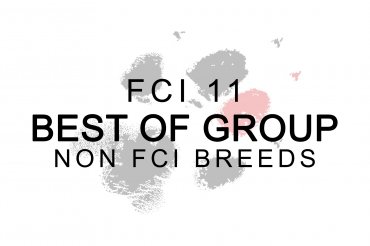 FCI Group 11 - Non FCI breeds (unedited)