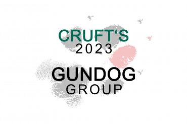 Gundog group (unedited)