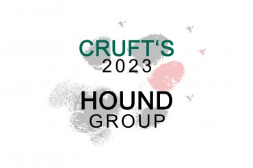 Hound group (unedited)