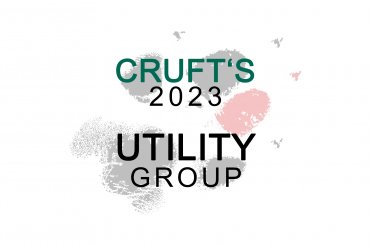 Utility group (unedited)