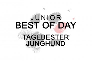 Junior Best Of Day (unedited)