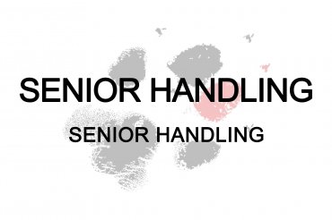 Senior handling (unedited)