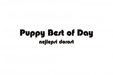 puppy bod (unedited photos)