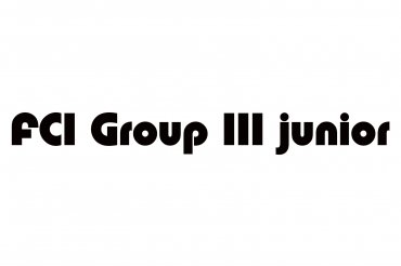 fci group 3 junior (unedited photos)