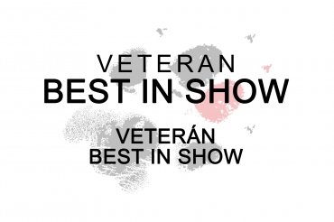 Veteran Best In Show (unedited)