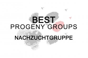 Best Progeny groups (unedited)