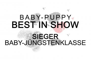 Baby-Puppy Best In Show (unedited)