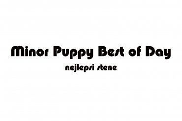 minor puppy bod (unedited photos)