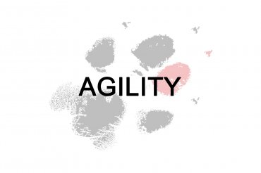 Agility (unedited)