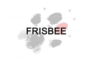Frisbee (unedited)