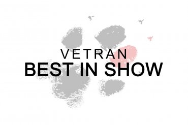 Veteran Best In Show (unedited)