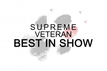 Supreme Veteran Best In Show (unedited)