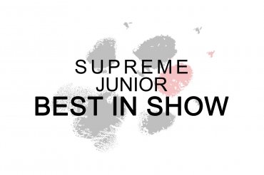 Supreme Junior Best In Show (unedited)